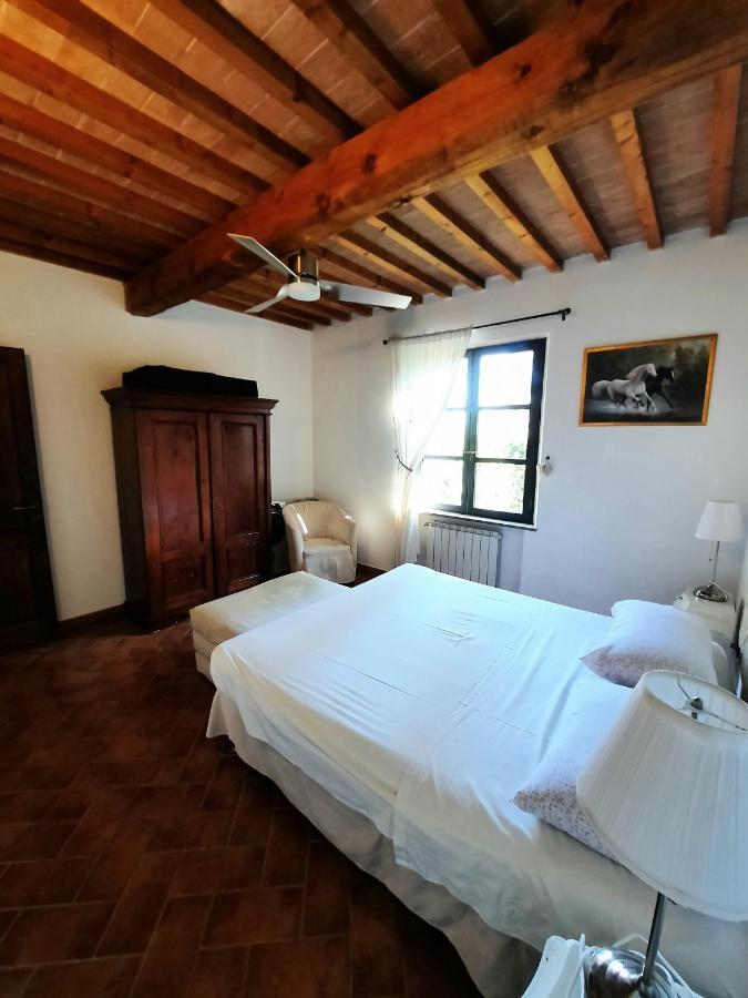 Il Casolare Val Di Mare Apartman Riparbella Kültér fotó