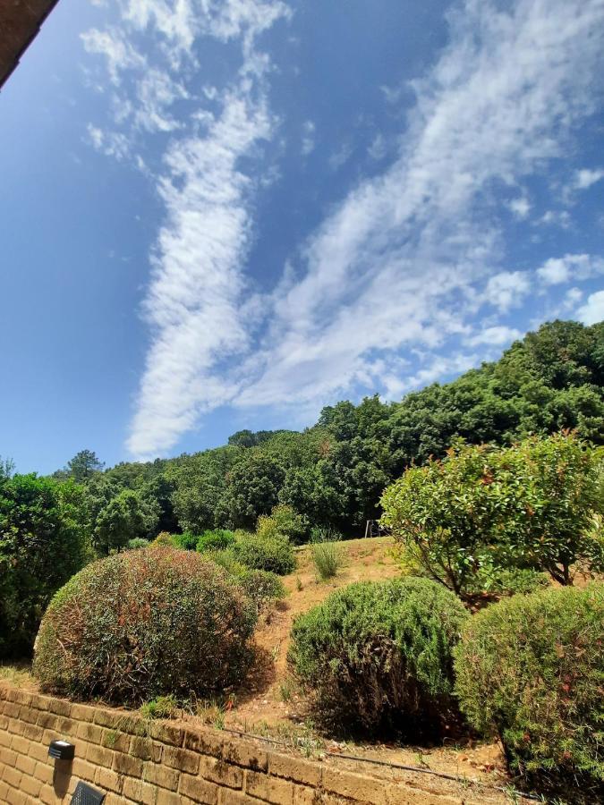 Il Casolare Val Di Mare Apartman Riparbella Kültér fotó